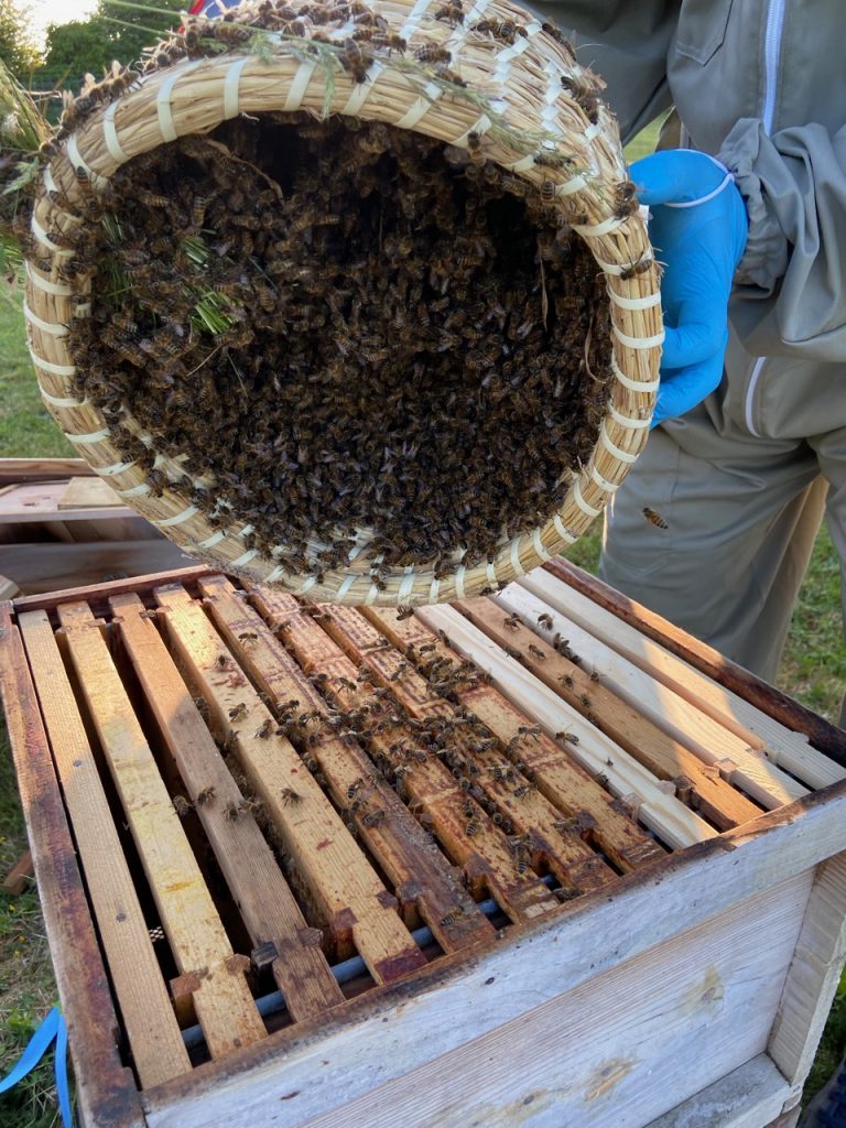 Rehoming a swarm