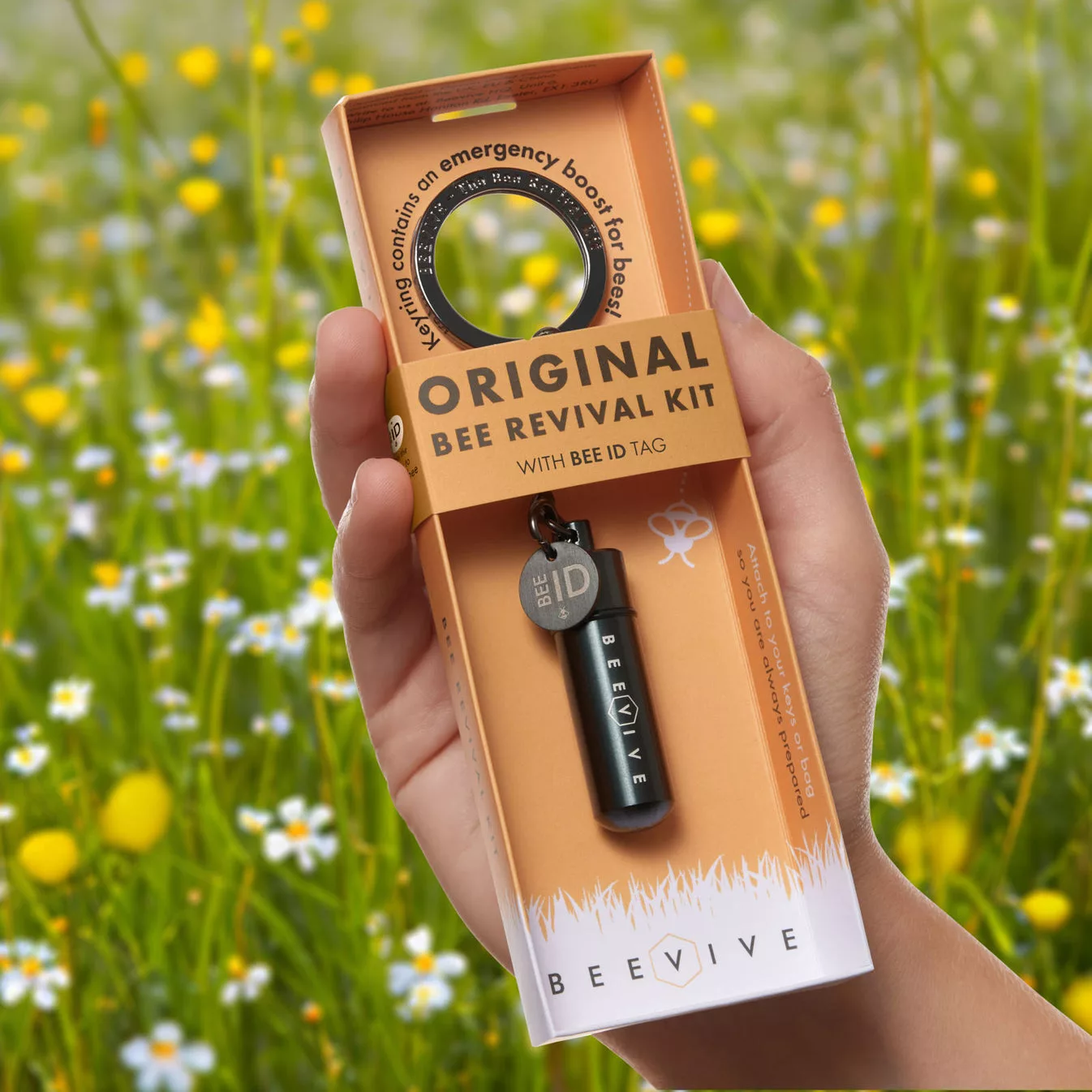 Beevive bee revival kit