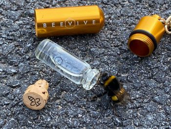 The Original Bee Revival Kit - Gold Edition - Image 4