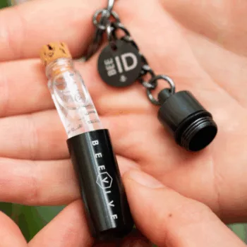 Beevive bee revival kit