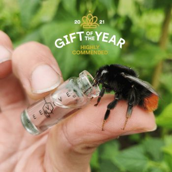The Original Bee Revival Kit - Gold Edition - Image 2