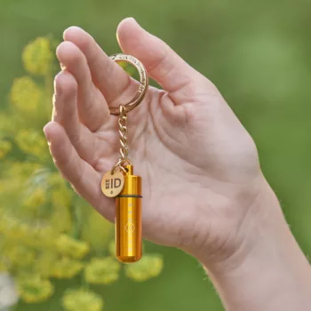 beevive bee revival kit