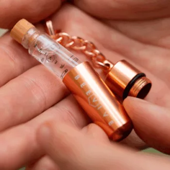 Beevive bee revival kit