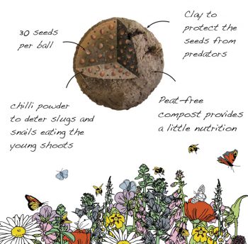 Bee-Friendly Wildflower Seed Bombs - Image 7