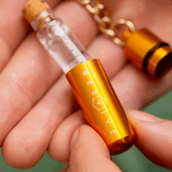 Beevive bee revival kit