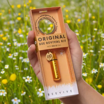 Beevive bee revival kit