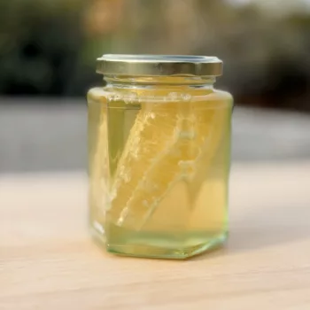 Cut Comb in honey